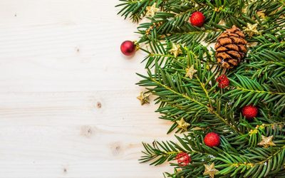 Make Christmas special for your customers – Newsletter November 2018