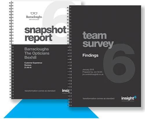 insight6-snapshot-report