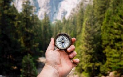How much data do you have about customer experience?
