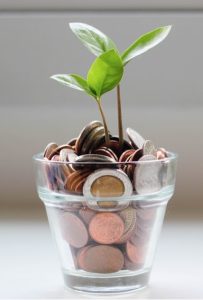 December Newsletter - Six CX tips to grow your business - unnamed 4