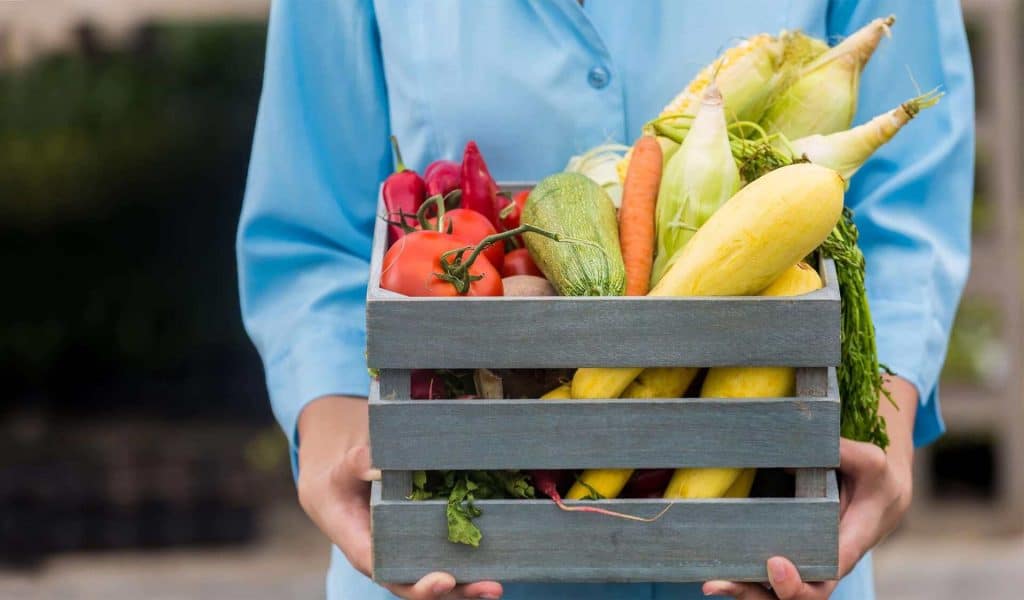 Farm Shops, Garden Centres and Rural Business