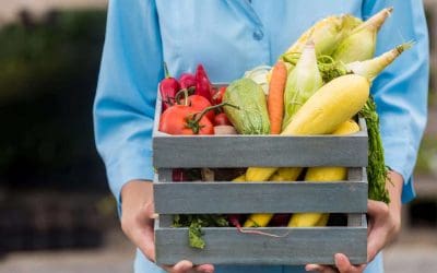Farm Shops, Garden Centres and Rural Business