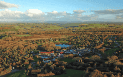 Press Coverage: Bluestone resort CX excellence