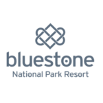 CX Excellence - Bluestone Logo