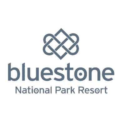 Bluestone Logo CX Excellence - Bluestone Logo