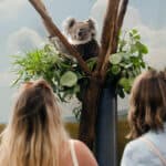 Longleat and Cheddar Gorge - Image 3