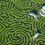 Longleat and Cheddar Gorge - Image 9