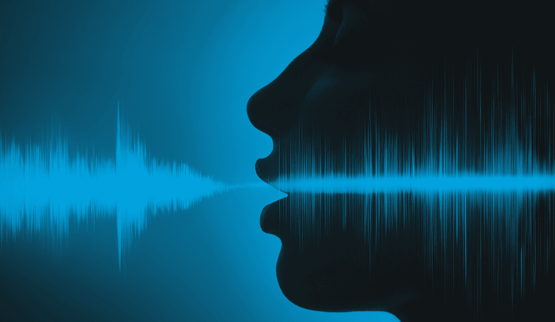 Voice of the Customer