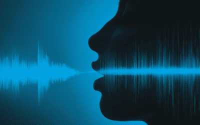 Voice of the Customer