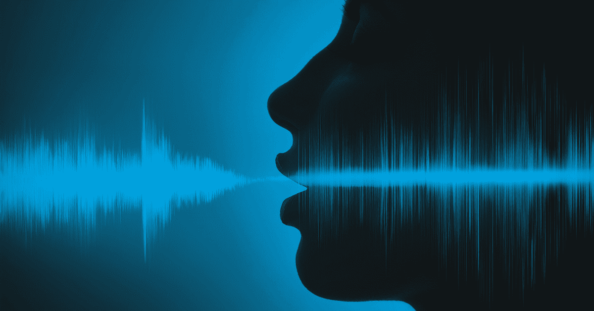Voice of the Customer