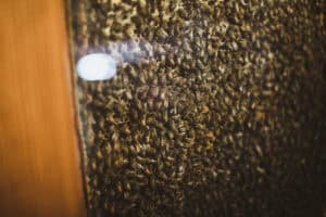 Farmer Copleys  - FarmerCopleys.72