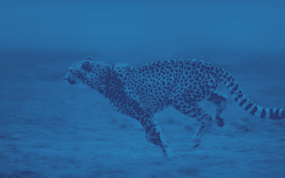 Real-Time Feedback – How Fast Can You Act On Insight?